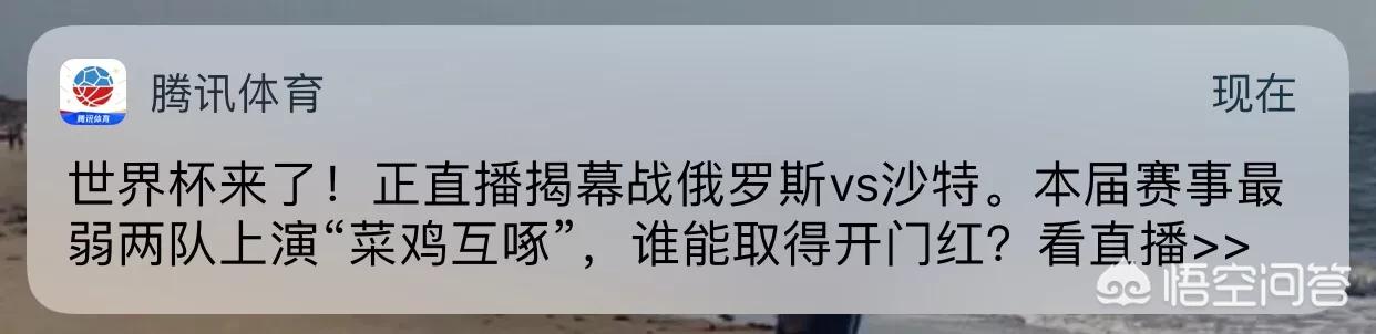 新爱体育欧洲杯足球直播:新爱体育最新消息