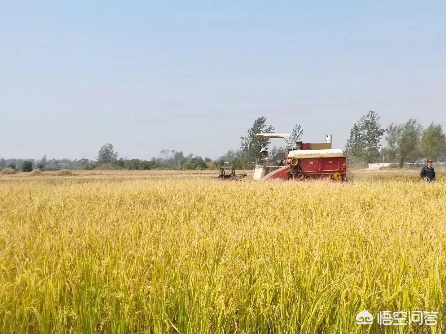 建湖哪里看欧洲杯直播:建湖哪里看欧洲杯直播比较好